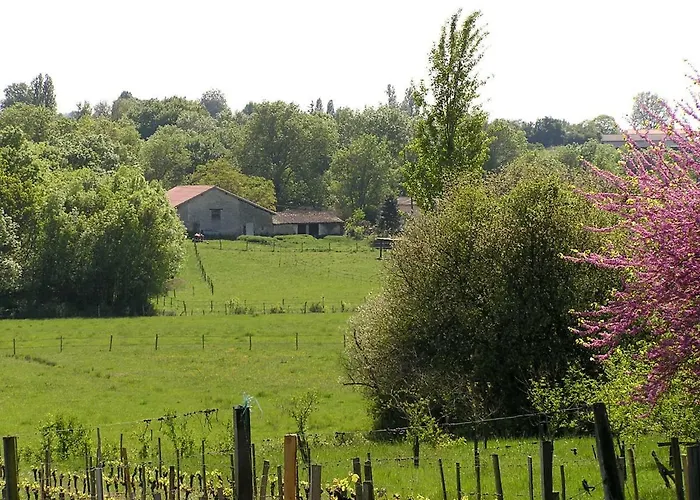 La Grange D'oustaud Bed and breakfast