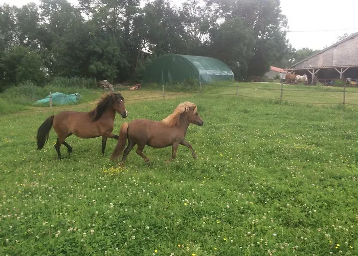 La Grange D'oustaud 3*